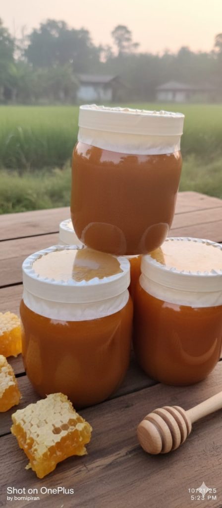 whatsapp image 2026 03 05 at 9.05.42 pm copy